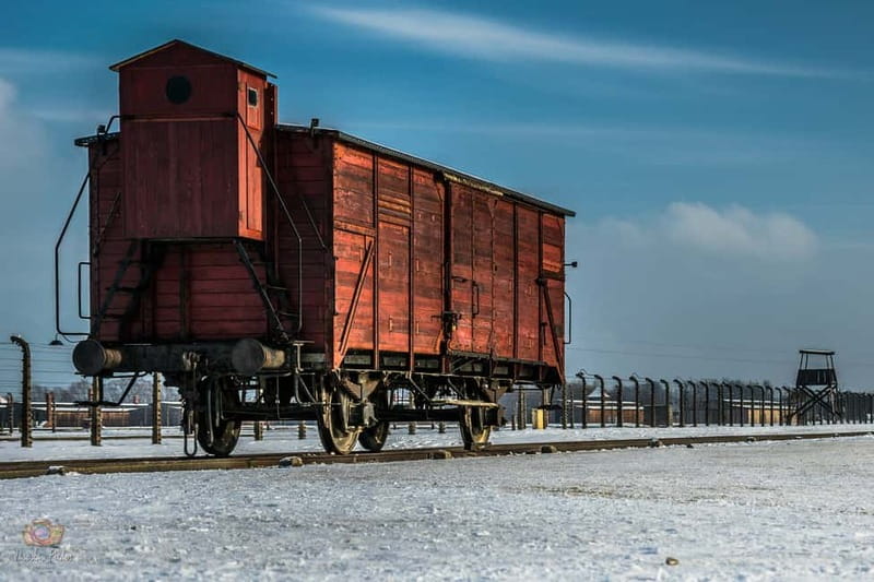 From Krakow: Auschwitz-Birkenau Tour with Transportation - Key points to know before booking