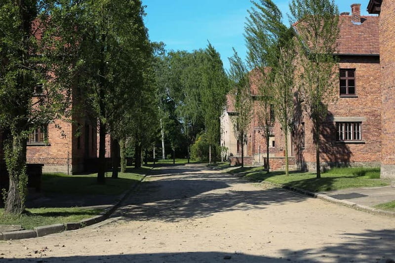 From Krakow: Auschwitz Museum and Wieliczka Salt Mine Tour - Who should book this day?