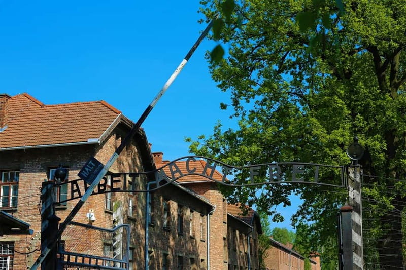 From Krakow: Auschwitz Museum and Wieliczka Salt Mine Tour - Why this combination works, and why it feels long