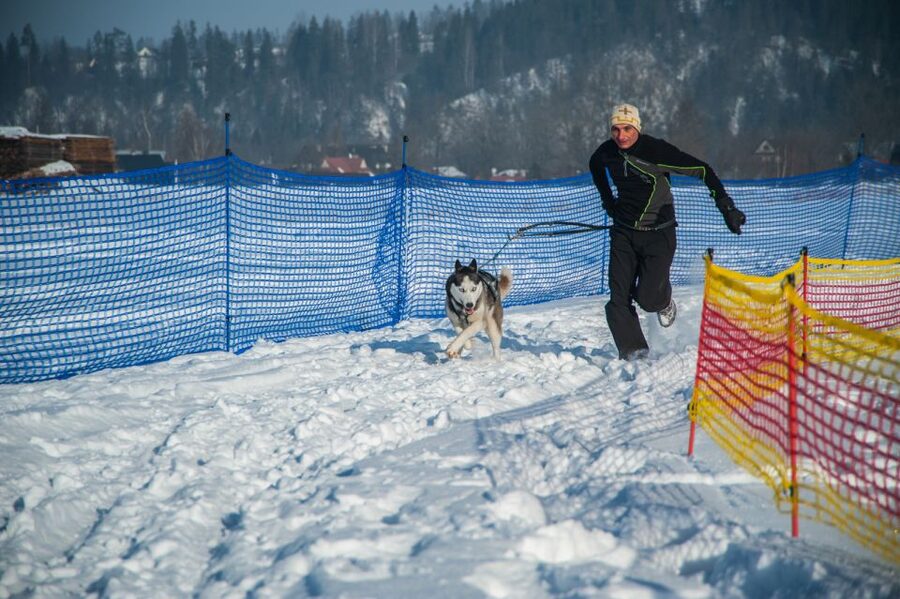 From Krakow: Dogsled Ride in Tatra Mountain - Learning the sled before setting off