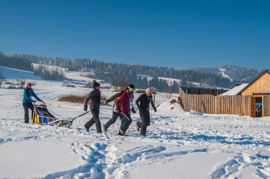 From Krakow: Dogsled Ride in Tatra Mountain - What to wear and who should skip it