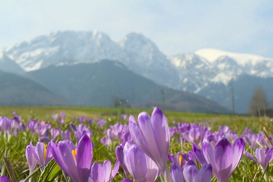 From Krakow: Full-Day Tour of Zakopane and Tatra Mountains - Why Zakopane makes a good day from Krakow