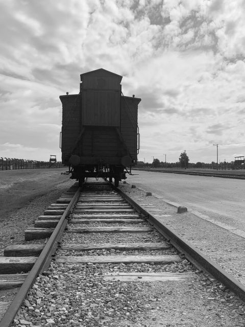 From Krakow: Guided Auschwitz-Birkenau Group Tour by Minivan - Practical details that can prevent trouble