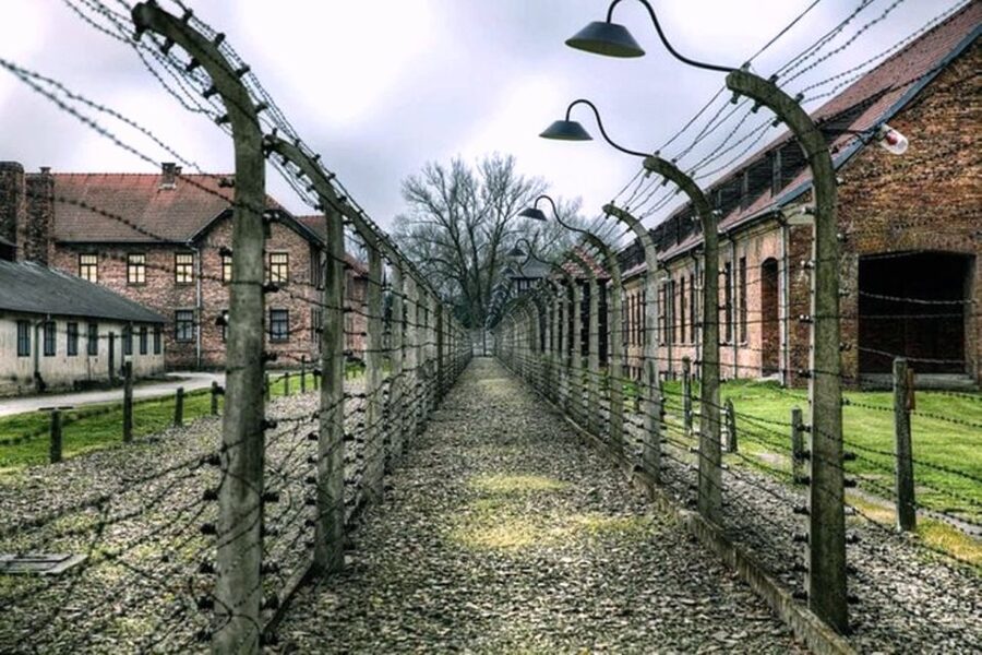 From Krakow: Guided Auschwitz-Birkenau Group Tour by Minivan - Why this Auschwitz visit matters