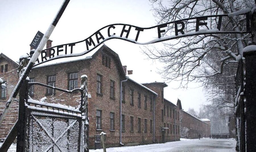 From Krakow: Guided Auschwitz-Birkenau Group Tour by Minivan - A guided visit, not a private tour