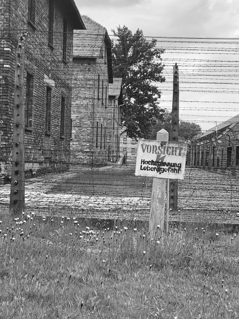 From Krakow: Guided Auschwitz-Birkenau Group Tour by Minivan - Who should choose this tour?