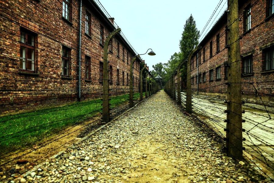 From Krakow: Guided Auschwitz-Birkenau Group Tour by Minivan - The Krakow pickup and 80-minute ride