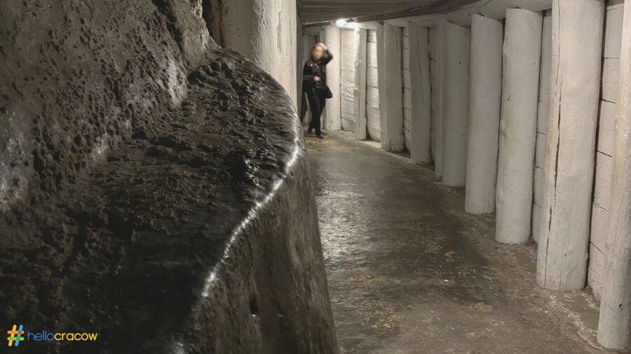 From Krakow: Guided Tour in Wieliczka Salt Mine - The guide makes the difference