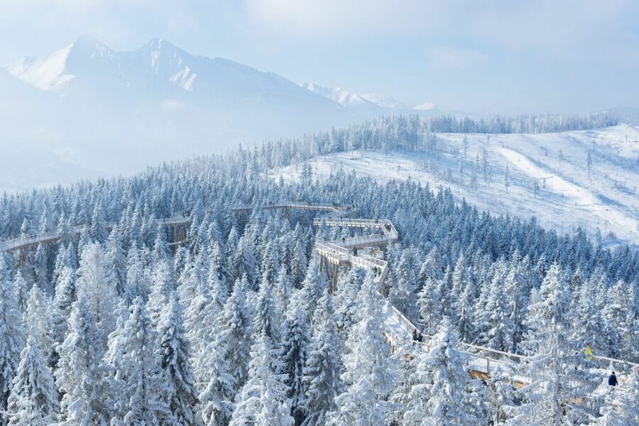From Krakow: Morskie Oko and Slovakia Treetop Walk - Who Will Enjoy This Day Most?