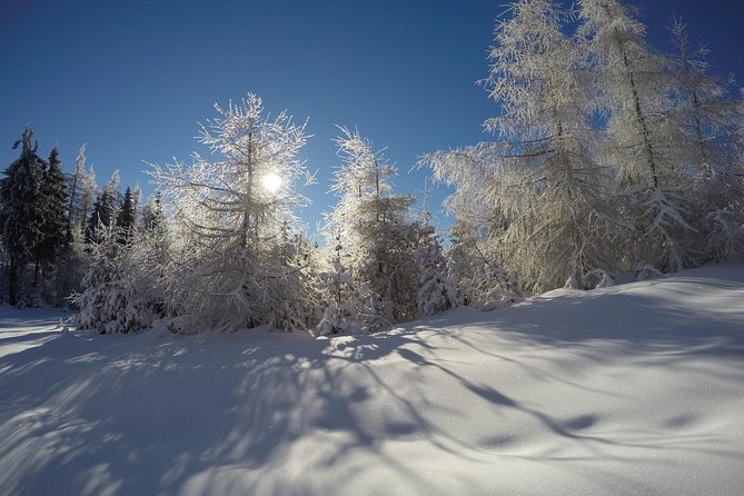 From Krakow: Siepraw Skiing for Beginners - Who will enjoy this outing most