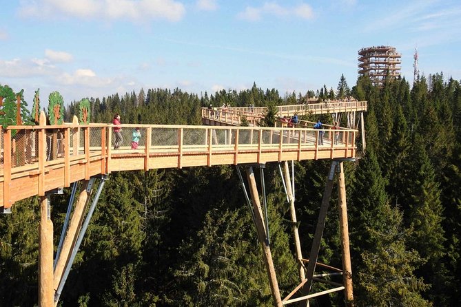 From Kraków: Slovakia Treetop Walk and Bachledka Ski - From Kraków to the Slovak Tatras