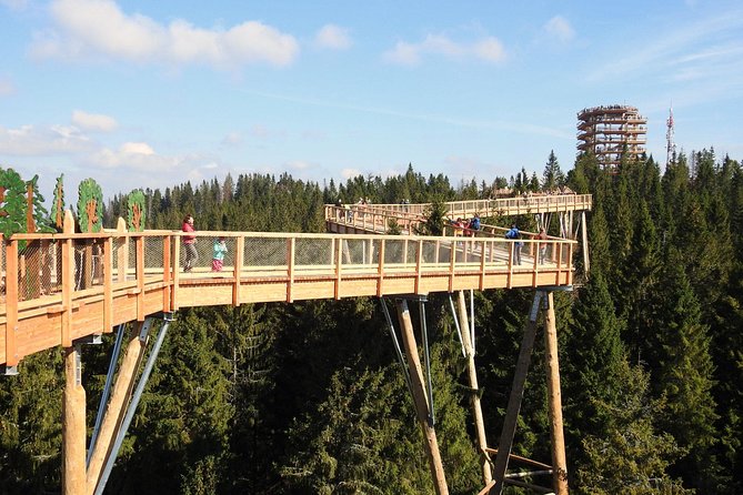 From Kraków: Slovakia Treetop Walk Bachledka and Zakopane - Why the Kraków pickup makes this practical