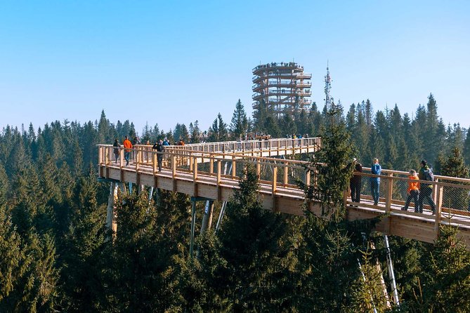 From Kraków: Slovakia Treetop Walk Bachledka and Zakopane - Tastings, costs, and what the $289.63 price covers