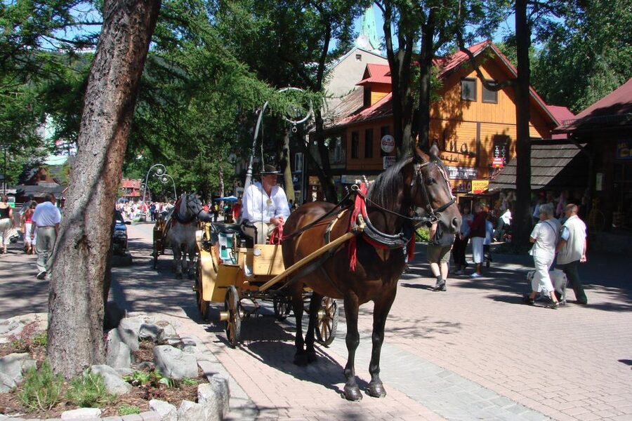 From Krakow: Slovakia Treetop Walk, Zakopane & Thermal Spa - Zakopane in two hours: food, Krupowki, and mountain-town energy