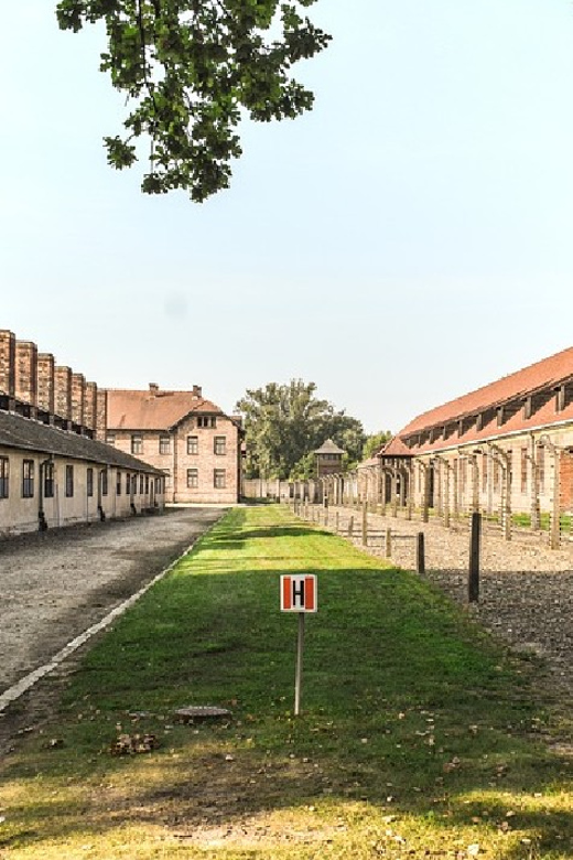 From Krakow: Wieliczka Salt Mine & Auschwitz Guided Trip - Who should book this day trip?