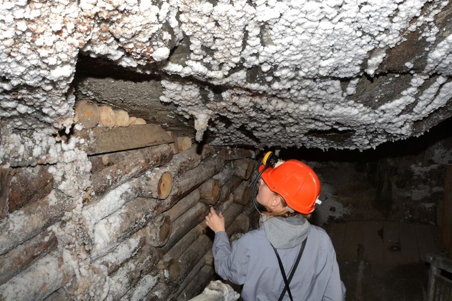 From Krakow: Wieliczka Salt Mine Half-Day Guided Tour - Who should book this Krakow excursion?