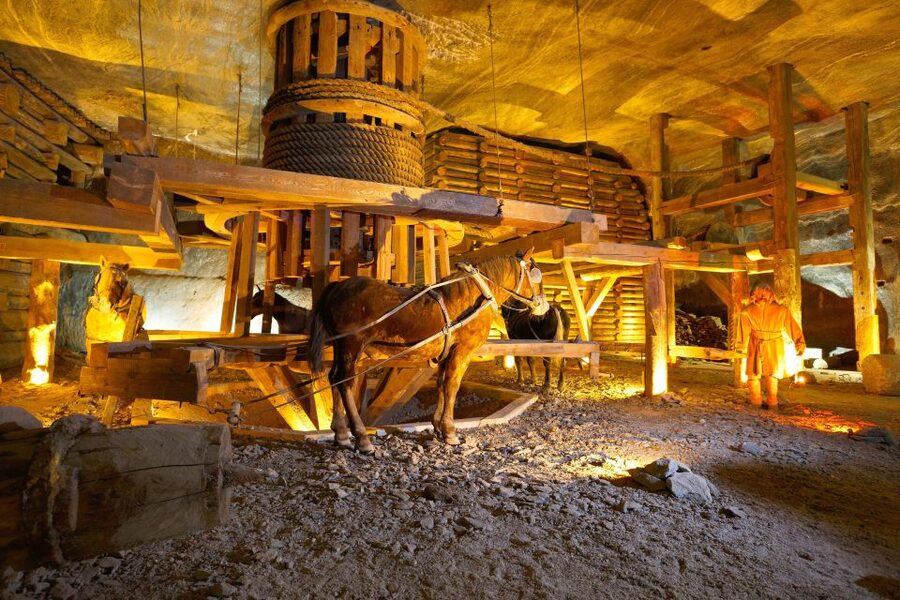 From Krakow: Wieliczka Salt Mine Tour & Skip the Line Ticket - Twenty chambers and a local guide