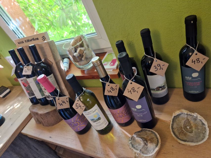 From Krakow: Wine Tasting at Vineyard - A Polish vineyard close to Krakow