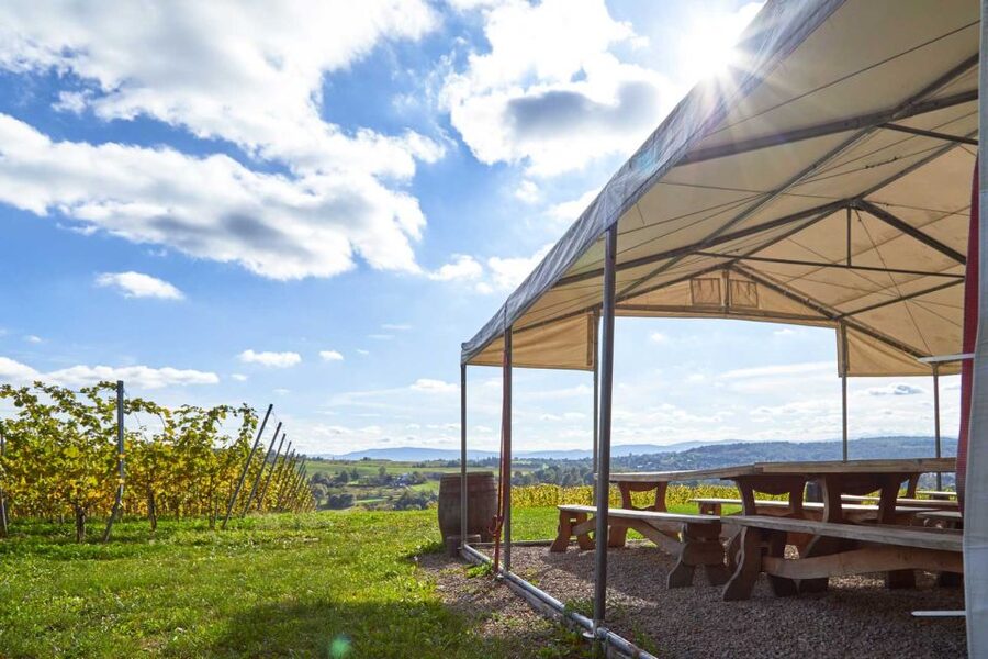 From Krakow: Wine Tasting at Vineyard - Adding cheese or cold cuts to the table
