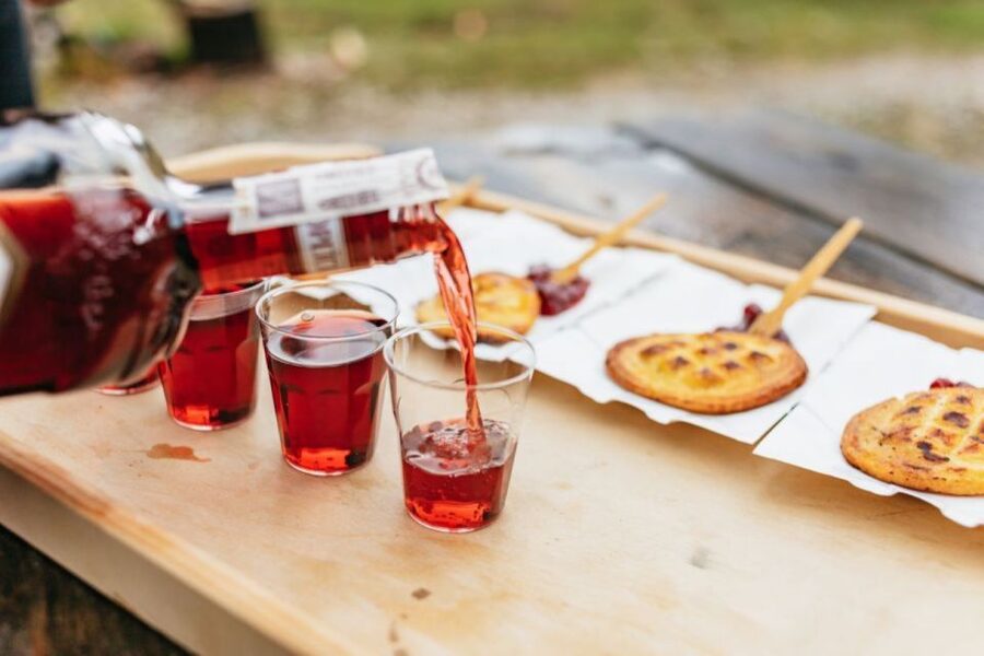 From Krakow: Zakopane Day Tour with Tasting & Funicular Ride - The drive south from Krakow