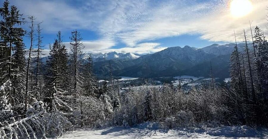 From Krakow: Zakopane Day Trip with Funicular & Food Tasting - Free time in Zakopane, Poland’s mountain resort