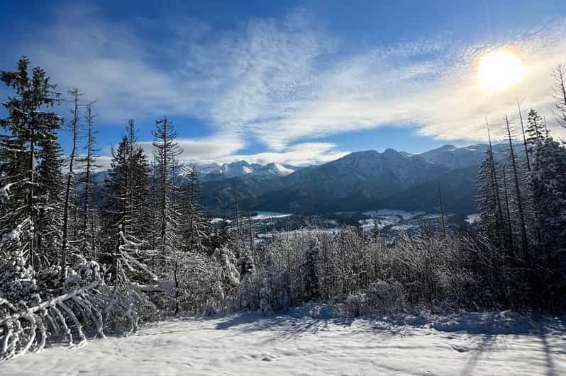 From Krakow: Zakopane Day Trip with Funicular & Food Tasting - Tasting smoked cheese and a local drink