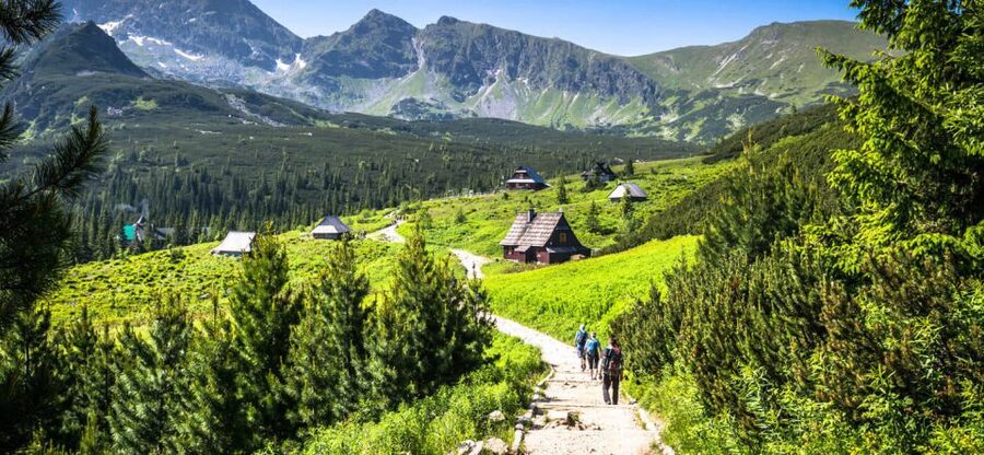 From Krakow: Zakopane & Hot Thermal Springs Private Tour - Warm oscypek at a shepherd’s hut in Witów