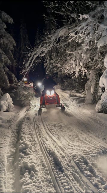From Krakow: Zakopane Snowmobile NIGHT Ride, Bonfire, - Learning the snowmobile controls