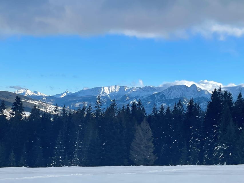 From Krakow: Zakopane Snowmobile NIGHT Ride, Bonfire, - Oscypek, mulled wine, and the campfire