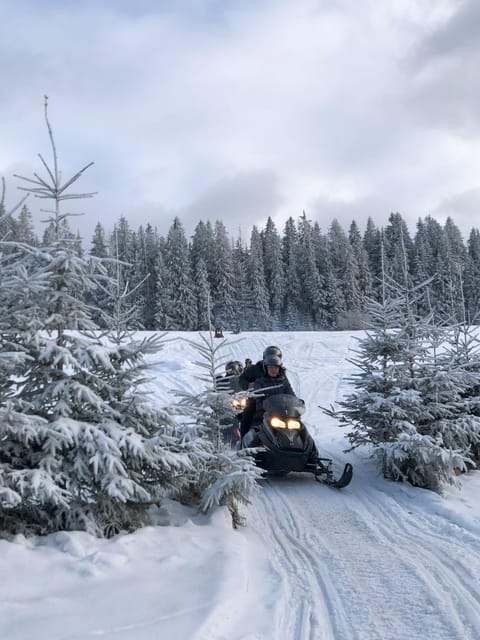 From Krakow: Zakopane Snowmobile NIGHT Ride, Bonfire, - Is the $159 price good value?