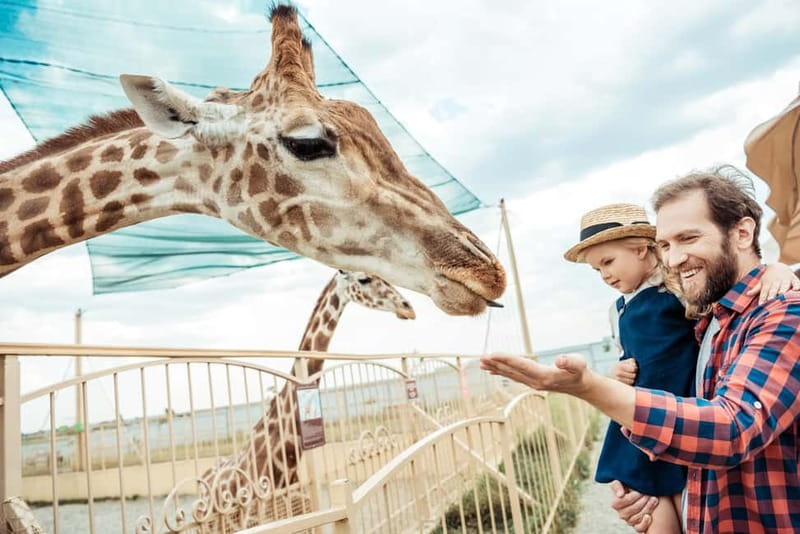 From Krakow: Zoo Trip with Private Luxury Transfer - What your Krakow pickup adds