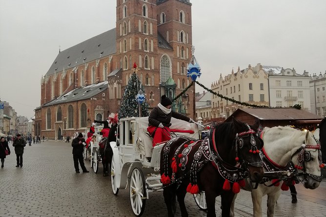 From Warsaw Auschwitz and Krakow one day tour by train with pick up and drop off - The guide makes a major difference