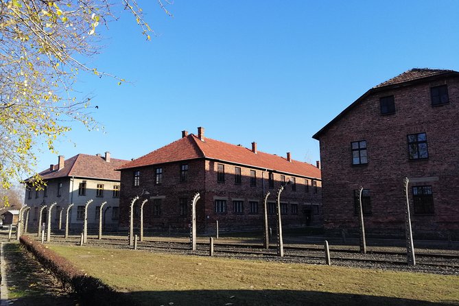 From Warsaw Auschwitz and Krakow one day tour by train with pick up and drop off - Who will get the most from this day?