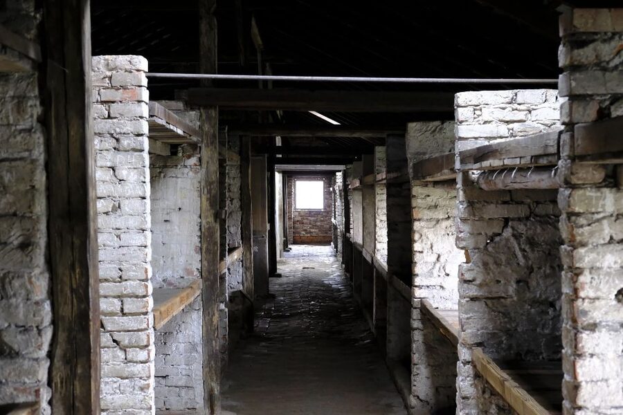 From Warsaw: Auschwitz-Birkenau Guided Tour with Fast Train - The short break and Birkenau