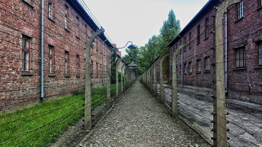 From Warsaw: Auschwitz-Birkenau Guided Tour with Fast Train - The early Warsaw pickup and train connection