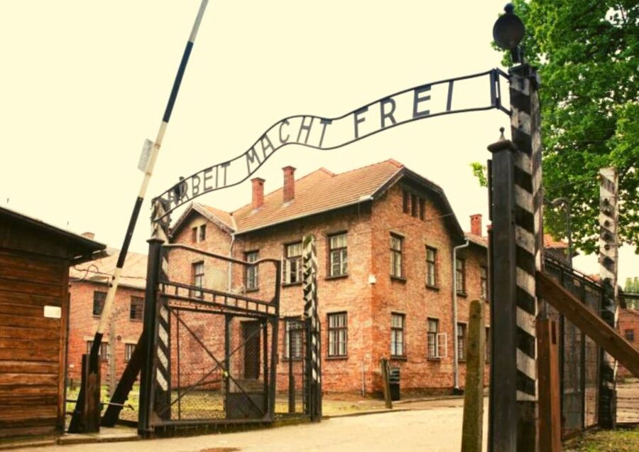 From Warsaw: Auschwitz-Birkenau Small Group Tour with Lunch - Key points to know before booking