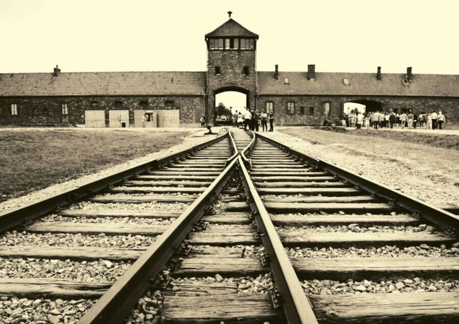 From Warsaw: Auschwitz-Birkenau Small Group Tour with Lunch - Who will get the most from this tour