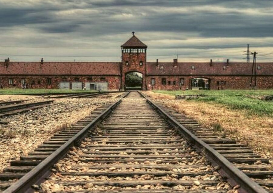 From Warsaw: Auschwitz-Birkenau Small Group Tour with Lunch - The museum displays and the human details