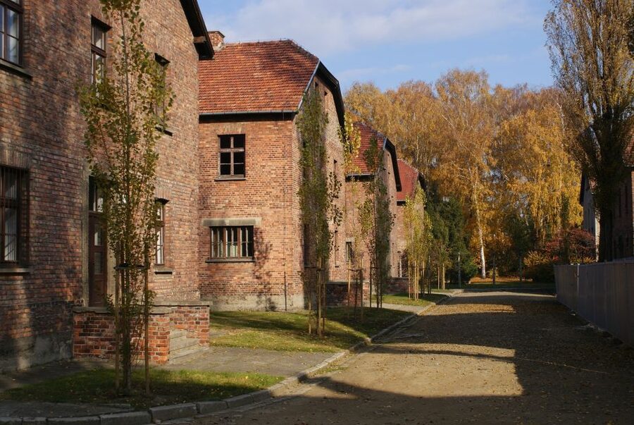 From Warsaw: Auschwitz-Birkenau Small Group Tour with Lunch - What the $350 price includes