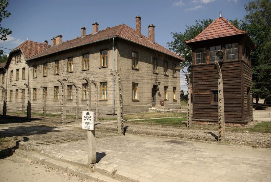 From Warsaw: Auschwitz-Birkenau Small Group Tour with Lunch - Walking, pace, and accessibility