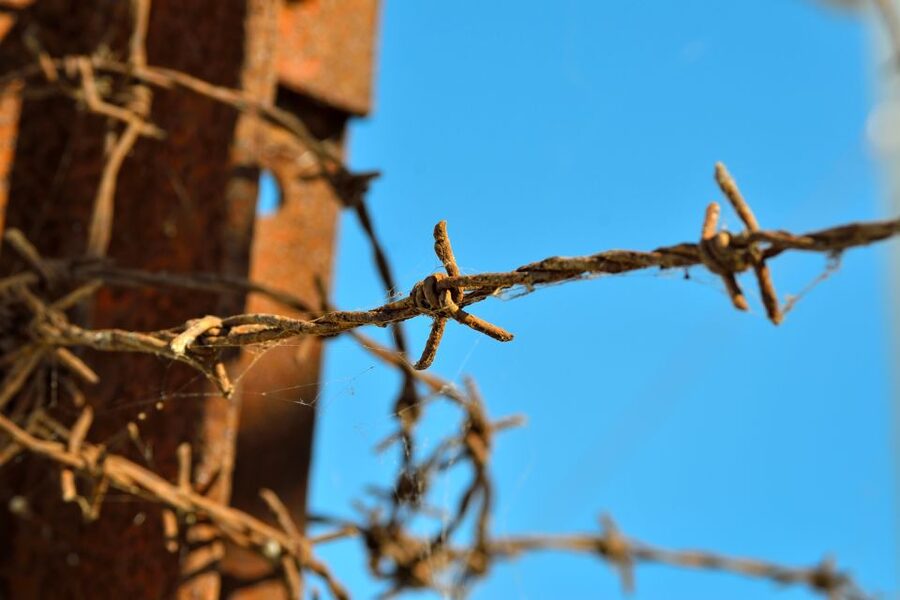 From Warsaw: Auschwitz-Birkenau Tour by Car - Birkenau and the Gate of Death