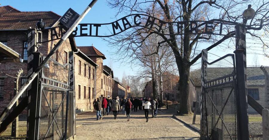 From Warsaw: Auschwitz-Birkenau Tour by Car - Is $265 a fair price?