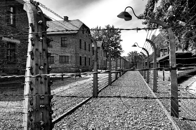 From Warsaw: Auschwitz-Birkenau Tour with Premium Train Transportation - Group size, headsets, and the pace of the guide