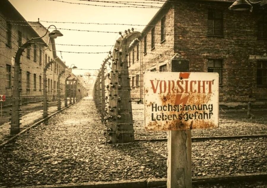 From Warsaw: Auschwitz Day Tour by Private Car with Lunch - Leaving Warsaw in a private car or minivan