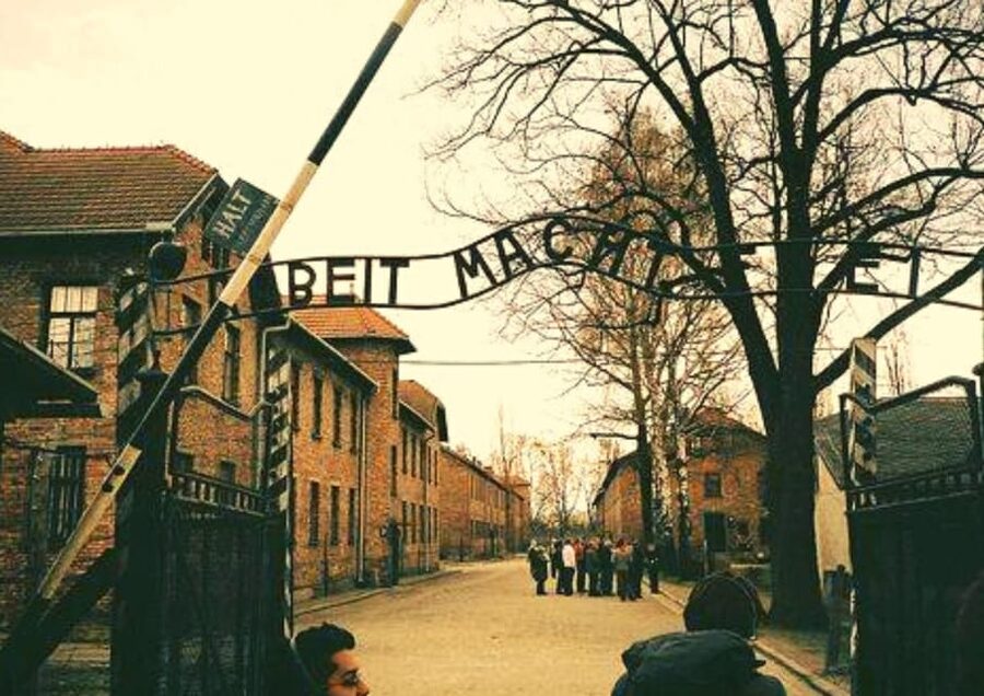 From Warsaw: Auschwitz Day Tour by Private Car with Lunch - Birkenau’s railway ramps and watchtowers