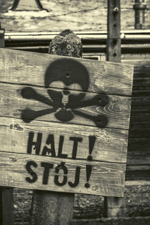 From Warsaw: Auschwitz Day Tour by Private Car with Lunch - Timing, communication, and small practical details