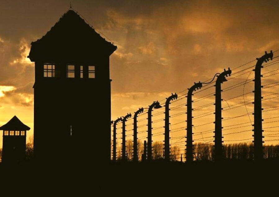From Warsaw: Auschwitz Day Tour by Private Car with Lunch - Who will get the most from this experience?