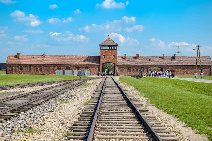 From Warsaw: Guided Tour to Auschwitz-Birkenau and Krakow - Returning to Krakow for free time