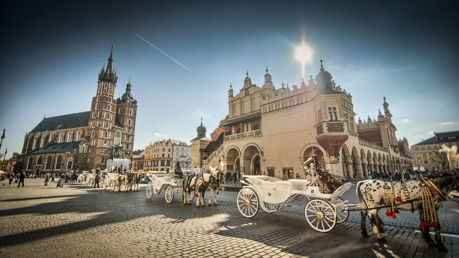 From Warsaw: Krakow Sightseeing Tour by Express Train - Is $312 per person good value?