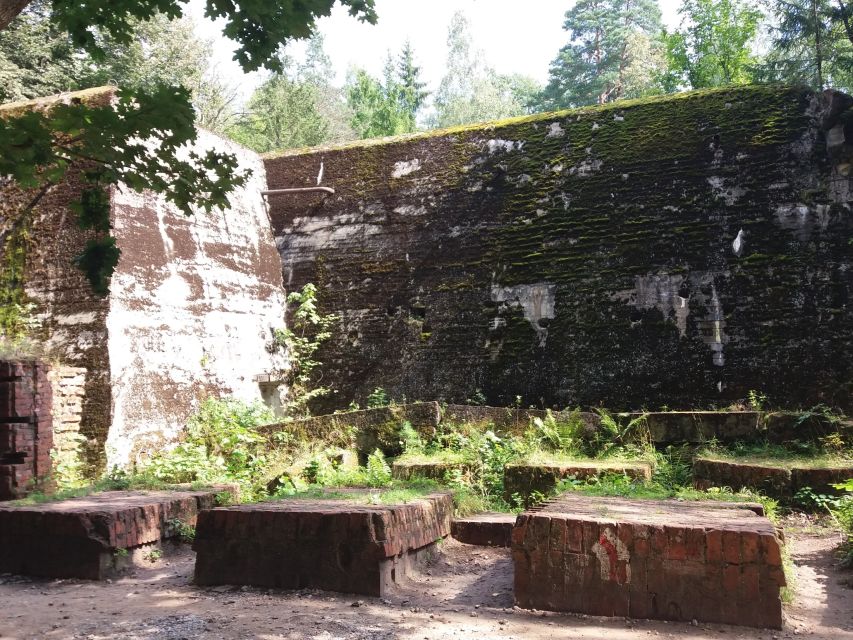 From Warsaw: Tour of the Wolf's Lair, Hitler's HQ by Car - Who should book this day trip